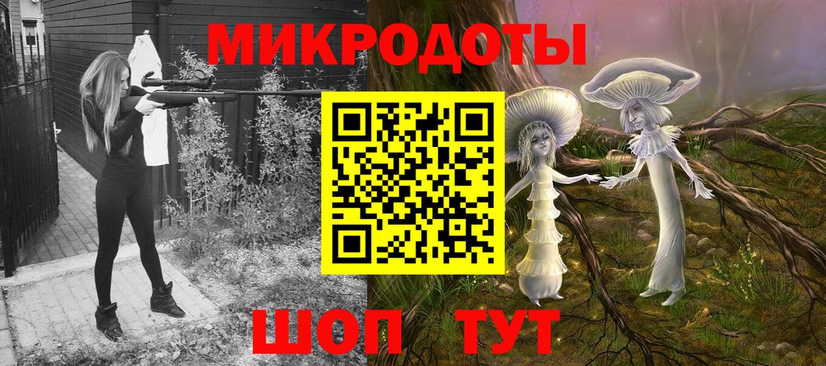 Галлюциногенные грибы Psilocybine cubensis Новокубанск