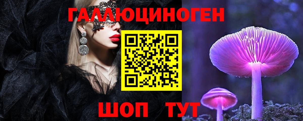 Галлюциногенные грибы мицелий  Вход с VPN  Галлюциногенные грибы мицелий  Новокубанск 