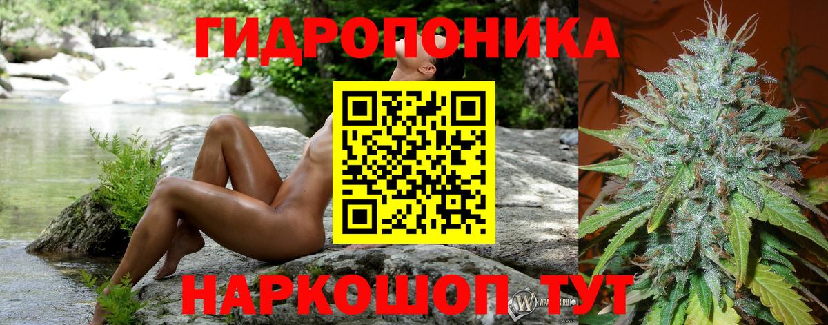 Марихуана Ganja Новокубанск